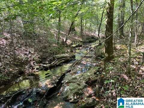E. R. WHITE ROAD, LINEVILLE, AL 36266