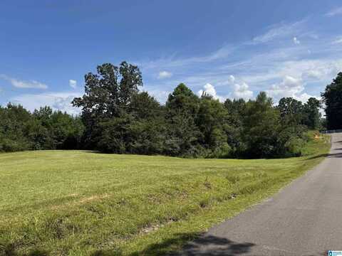 SHORT TOWN ROAD, VANCE, AL 35490