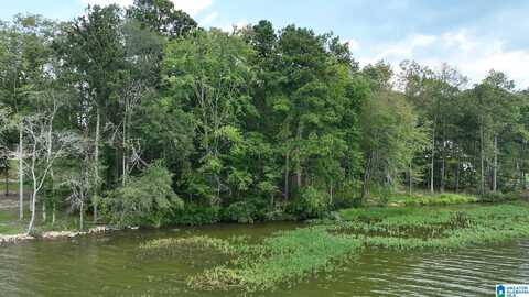 0 GIBSON COVE DRIVE, ASHVILLE, AL 35953