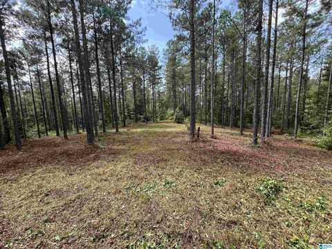 740 SWEET APPLE ROAD, CROPWELL, AL 35054