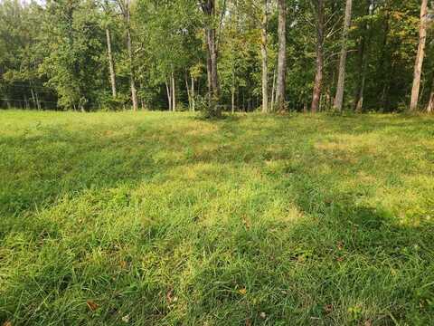 0 Dale Back Road, Frenchburg, KY 40322