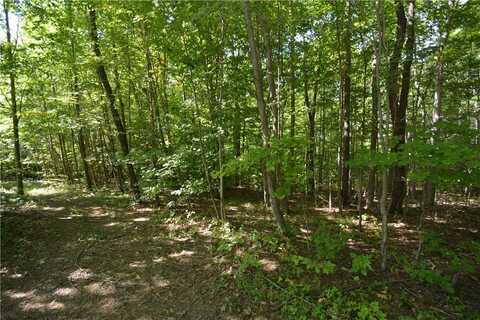 6495 Edson Road, Naples, NY 14512