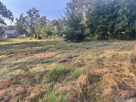 211 Arkansas, St. Charles, AR 72140