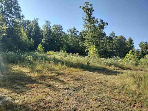 902 Monahan RD, Mountain View, AR 72560