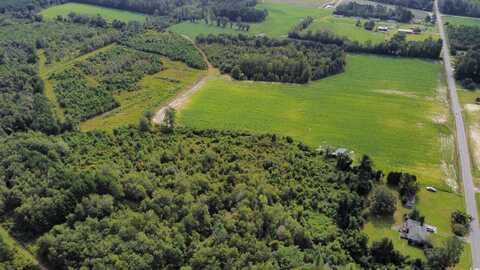 TBD Black Creek Rd., Nichols, SC 29581
