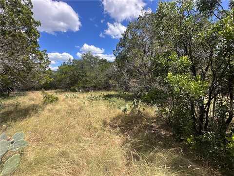 191 Agarita, Concan, TX 78838