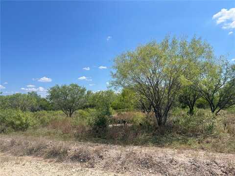 750 CR 200, Three Rivers, TX 78071