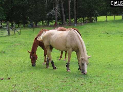 132 Thorntree Lane, Ridgeway, SC 29130