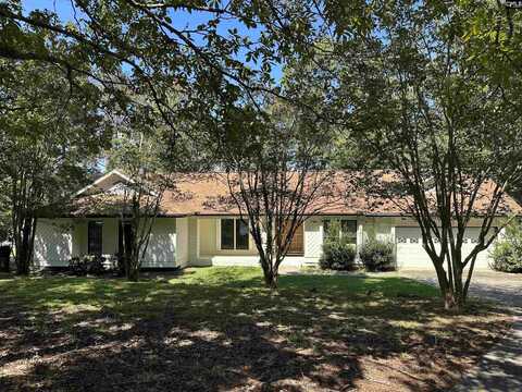 112 Killian Point Circle, Chapin, SC 29036