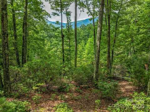 72 Smokey Ridge Trail unit: 196, Arden, NC 28704