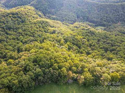Crackin Chestnut Lane, Sylva, NC 28779