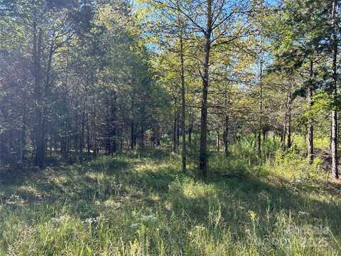 200 Bramblewood Lane, Mocksville, NC 27028