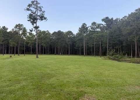00 Myers Mayo Road, Ridgeville, SC 29472
