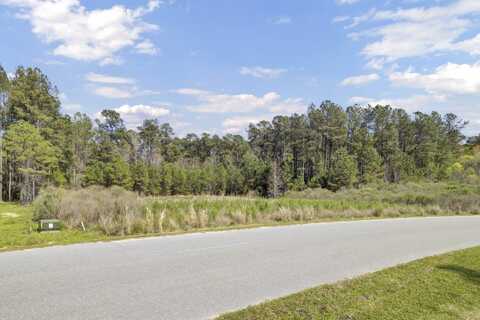 1319 Wood Sorrel Drive, Moncks Corner, SC 29461