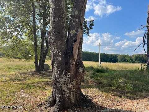 85 Burns Lane, Lavinia, TN 38348