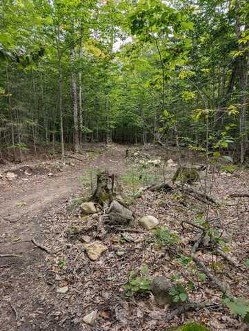 E South Caribou Lake RD, De Tour, MI 49725