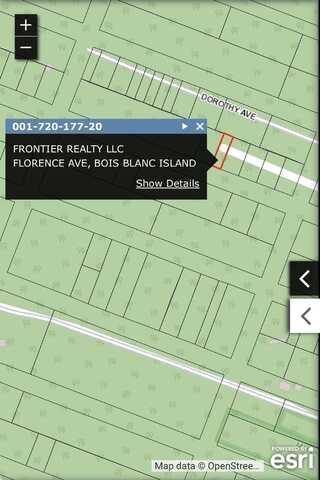 424344b19 Florence AVE, Bois Blanc, MI 49775