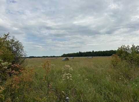 80 Acres S M-129, Pickford, MI 49774