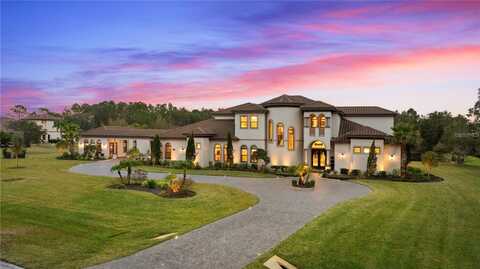 12405 STONELAKE RANCH BLVD, THONOTOSASSA, FL 33592