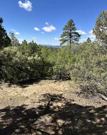 99 Private Drive 1781A, Chama, NM 87520