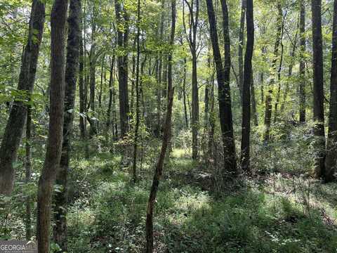 0 Ga Highway 120, Tallapoosa, GA 30176
