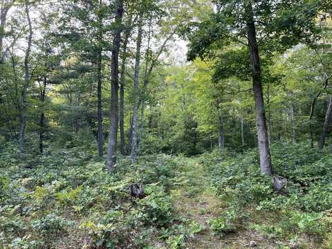 Swihart Road, Brethren, MI 49619