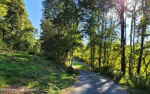 42 Long Lane, Falls, PA 18615
