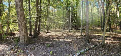 645 Evergreen Drive, Falls, PA 18615