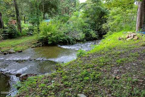 134 Wildwood Way, Gatlinburg, TN 37738