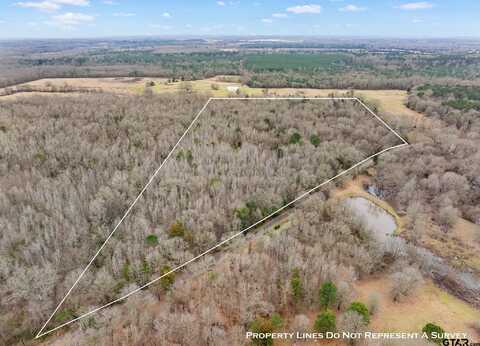TBD CR 3324, Pittsburg, TX 75686