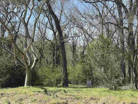 8329 Paluxy Drive, Tyler, TX 75703