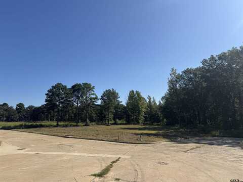 161 Cardinal Ln, Mount Pleasant, TX 75455