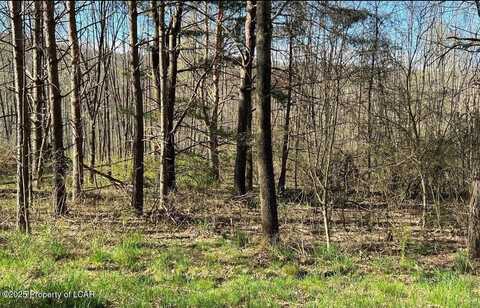 TV 202 Buttonbush & White Oak Lane, Hazle Twp, PA 18202