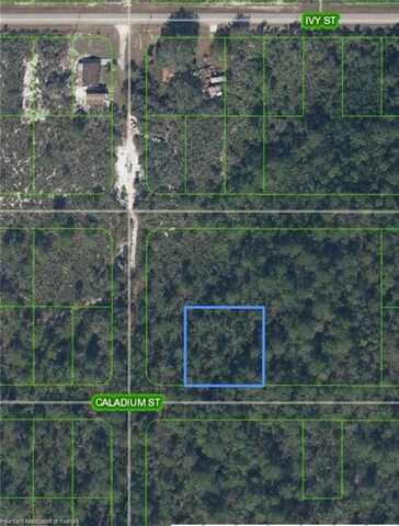 1504 Caladium Street, Lake Placid, FL 33852