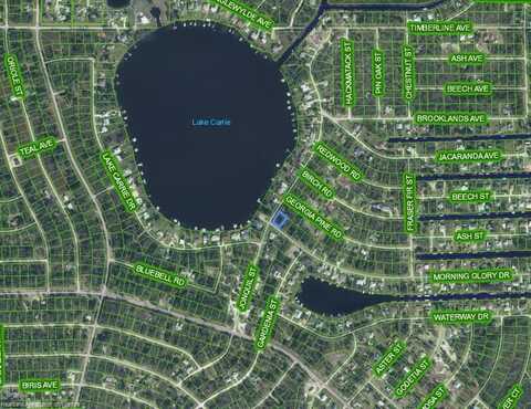 3067 Morning Glory Drive, Lake Placid, FL 33852