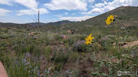 1324 Meadow Mountain Way, Livermore, CO 80536
