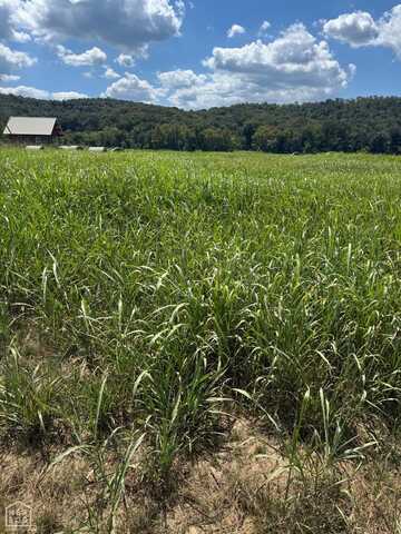 39 40 White River Run, Guion, AR 72540