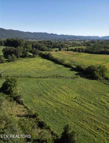317 Singleton Hollow Rd, Speedwell, TN 37870