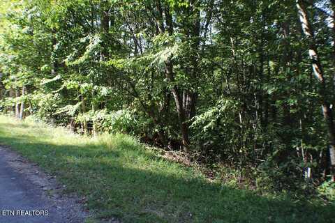 Deer Creek Xing, Mountain City, TN 37683