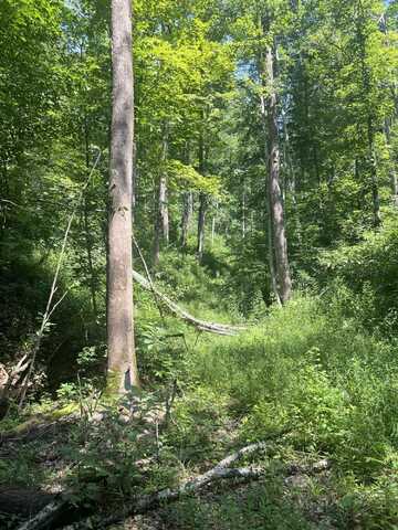 9983 US-460, Salyersville, KY 41465