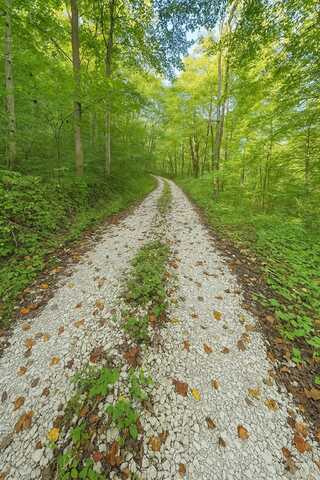 Nada Tunnel Road, Stanton, KY 40380