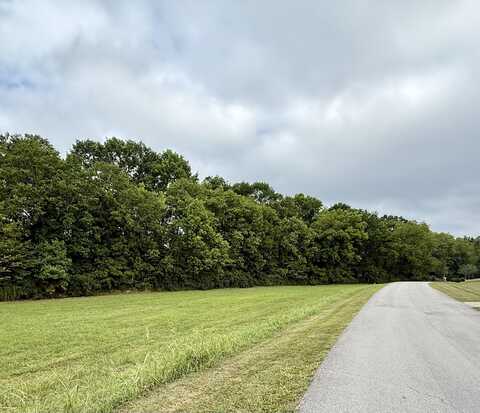 0 Logan Creek Drive, Stanford, KY 40484