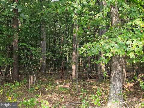 4169 MOUNTAIN RD, HAYMARKET, VA 20169