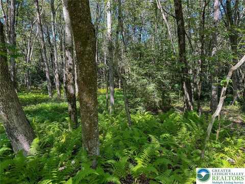 Drake Drive, Penn Forest Twp, PA 18229