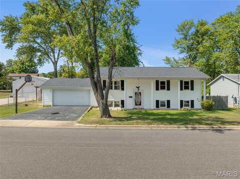 462 N Manion Street, Sullivan, MO 63080