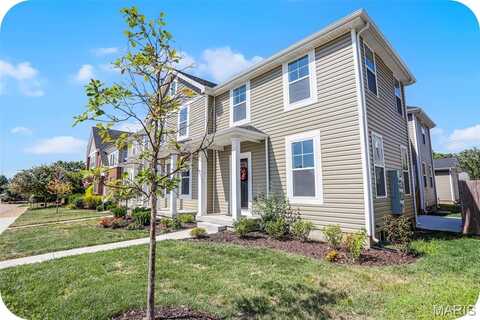 7119 Trainor Place, Saint Louis, MO 63116