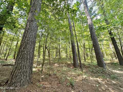 1 Champion Hill Road, Bolton, MS 39041