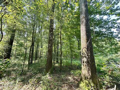 2 Champion Hill Road, Bolton, MS 39041