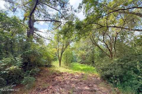 8405 Wire Road, Vancleave, MS 39565