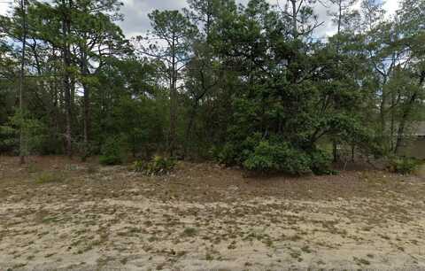 6299 N ALLSTON TERRACE, CITRUS SPRINGS, FL 34433